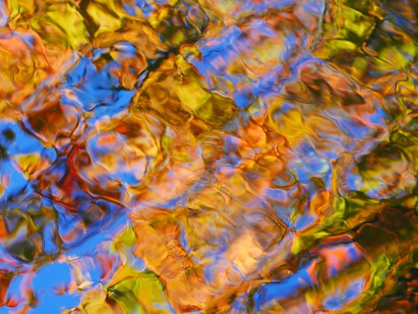 Abstract reflections of autumn foliage