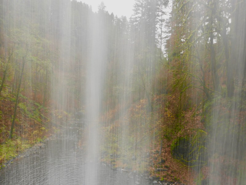 View of forest looking through from back side of waterfall
