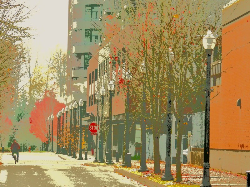 city street with row of street lights and autumn foliage