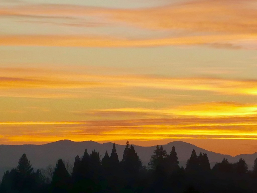 Large trees silhouetted in front of mountains and orange sky