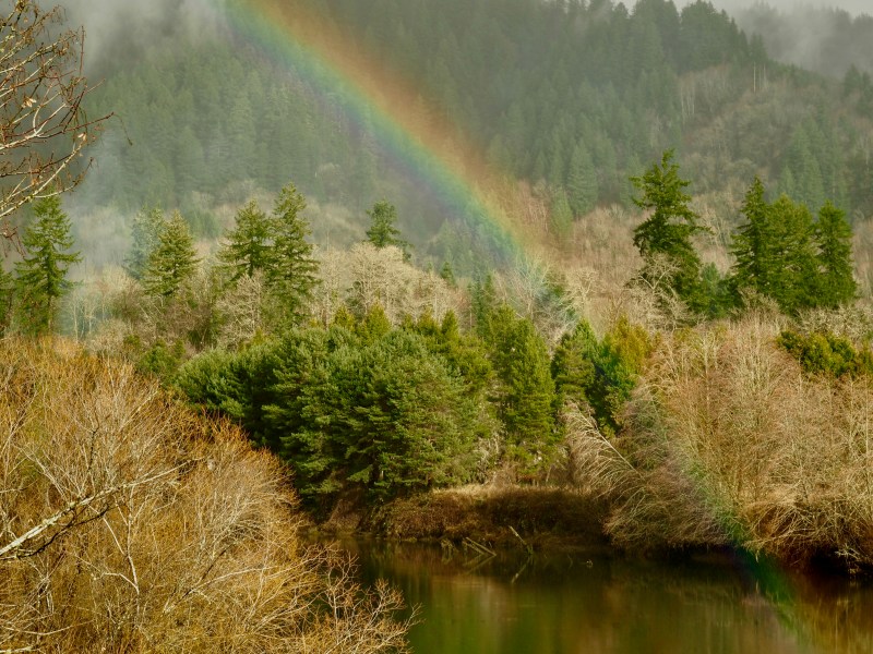 Rainbow landing in river in forest landscape