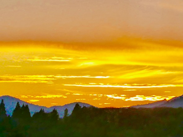 Orange sky over blue mountains and evergreen forest