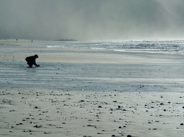 A few people walking and gathering shells on beach