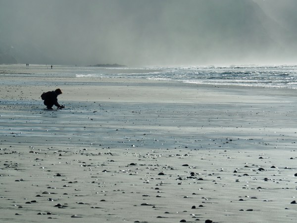 A few people walking and gathering shells on beach
