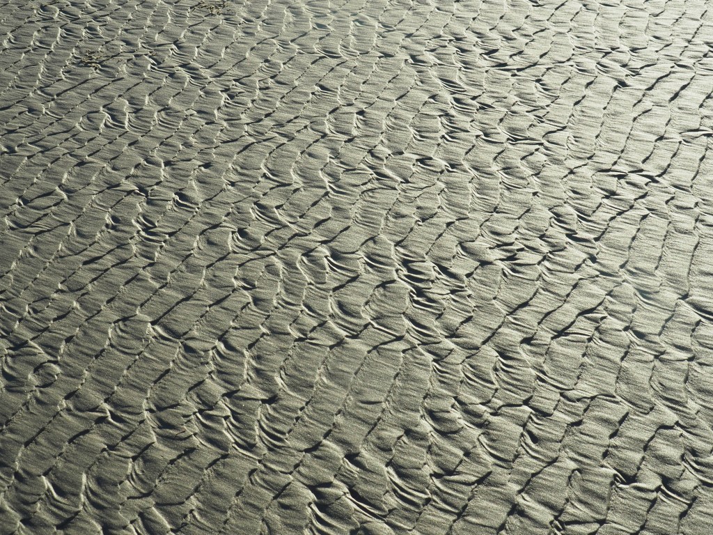 Many parallel ripple marks in golden beach sand