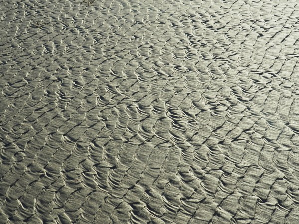 Many parallel ripple marks in golden beach sand