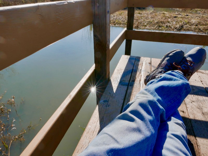 Sitting on dock in wetlands with starbust sun