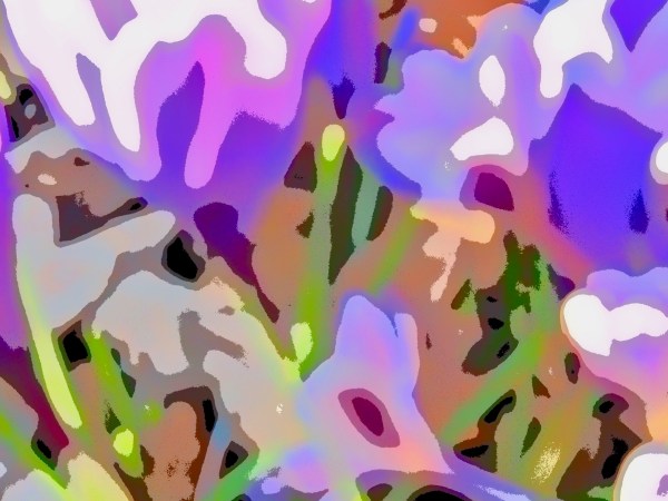 Blurred pastel crocuses