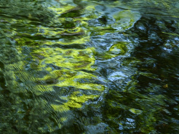 Green and yellow reflections in brook