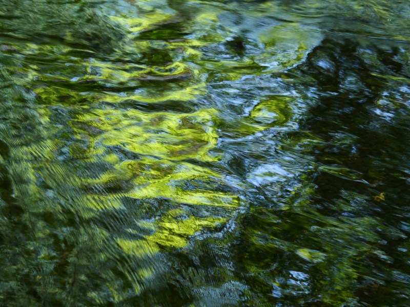 Green and yellow reflections in brook