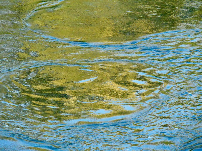 Ripples and green, gold and blue reflections in river