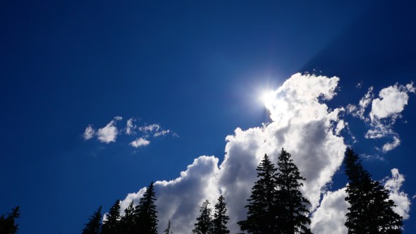 Blue sky, white clouds and tall silhouetted trees