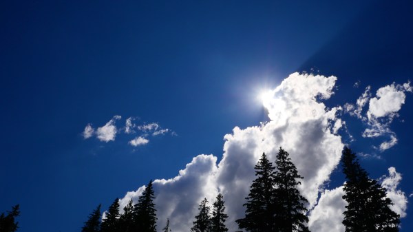 Blue sky, white clouds and tall silhouetted trees