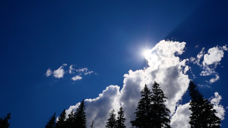 Blue sky, white clouds and tall silhouetted trees