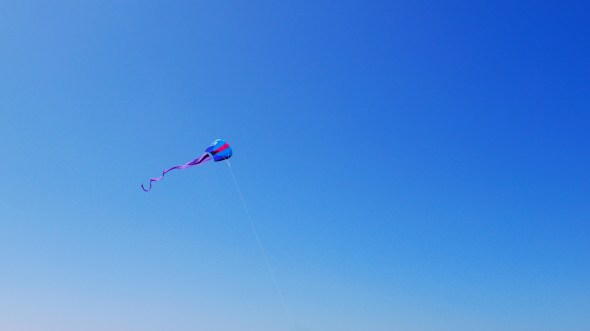 Blue and red kite with purple tail soaring in blue sky