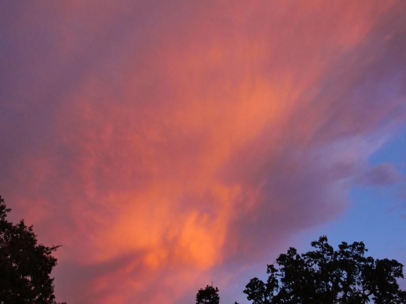 Orange clouds and blue sky