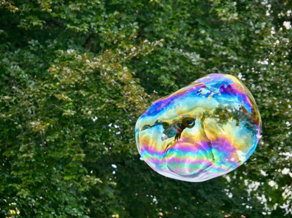 Colorful soap bubble floating in front of ttees