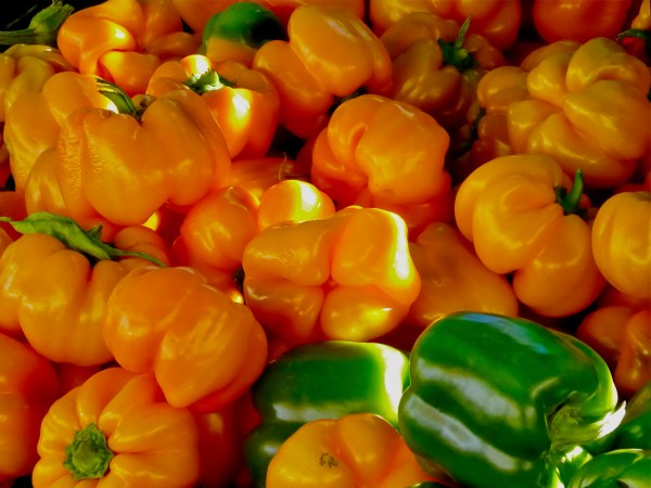 Orange peppers and green peppers