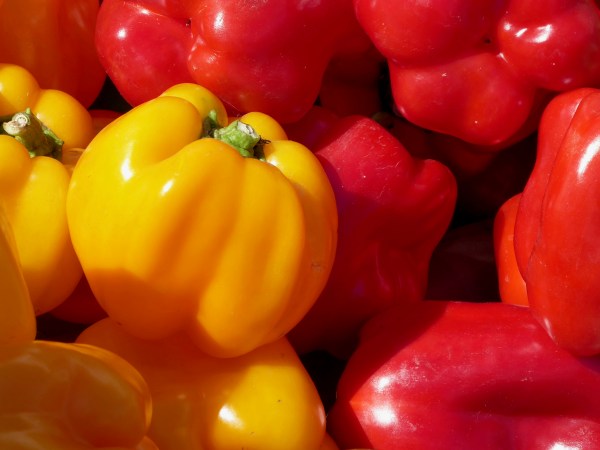 Red and yellow peppers