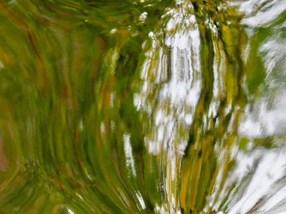 Abstract reflection of autumn foliage