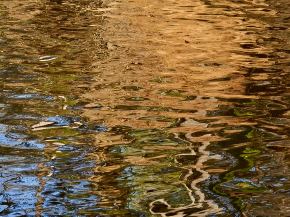 Wavy golden reflections in river
