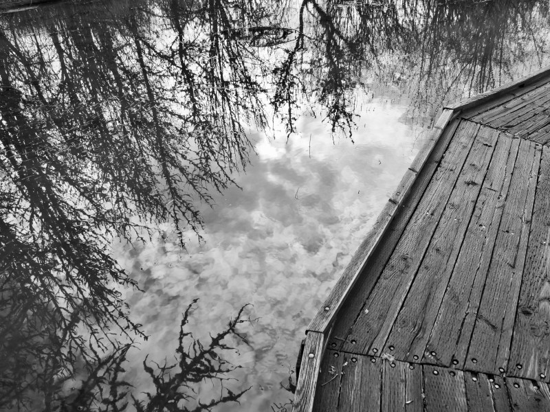 Wooden boardwalk and reflections of trees in marsh