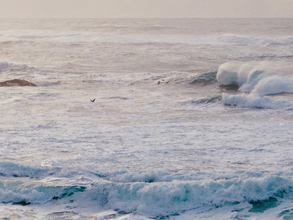 Foamy surf with big waves