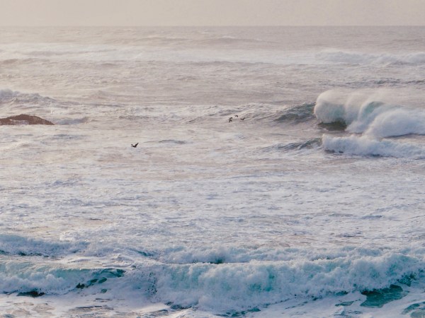 Foamy surf with big waves