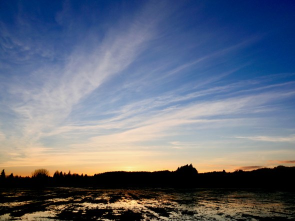 Bue sky and white clouds after sunset in wetlands