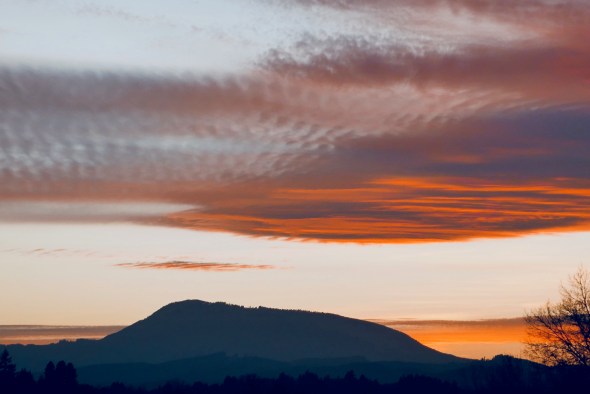 P1100471-MarysPeak-CorvallisOR-24Feb2020