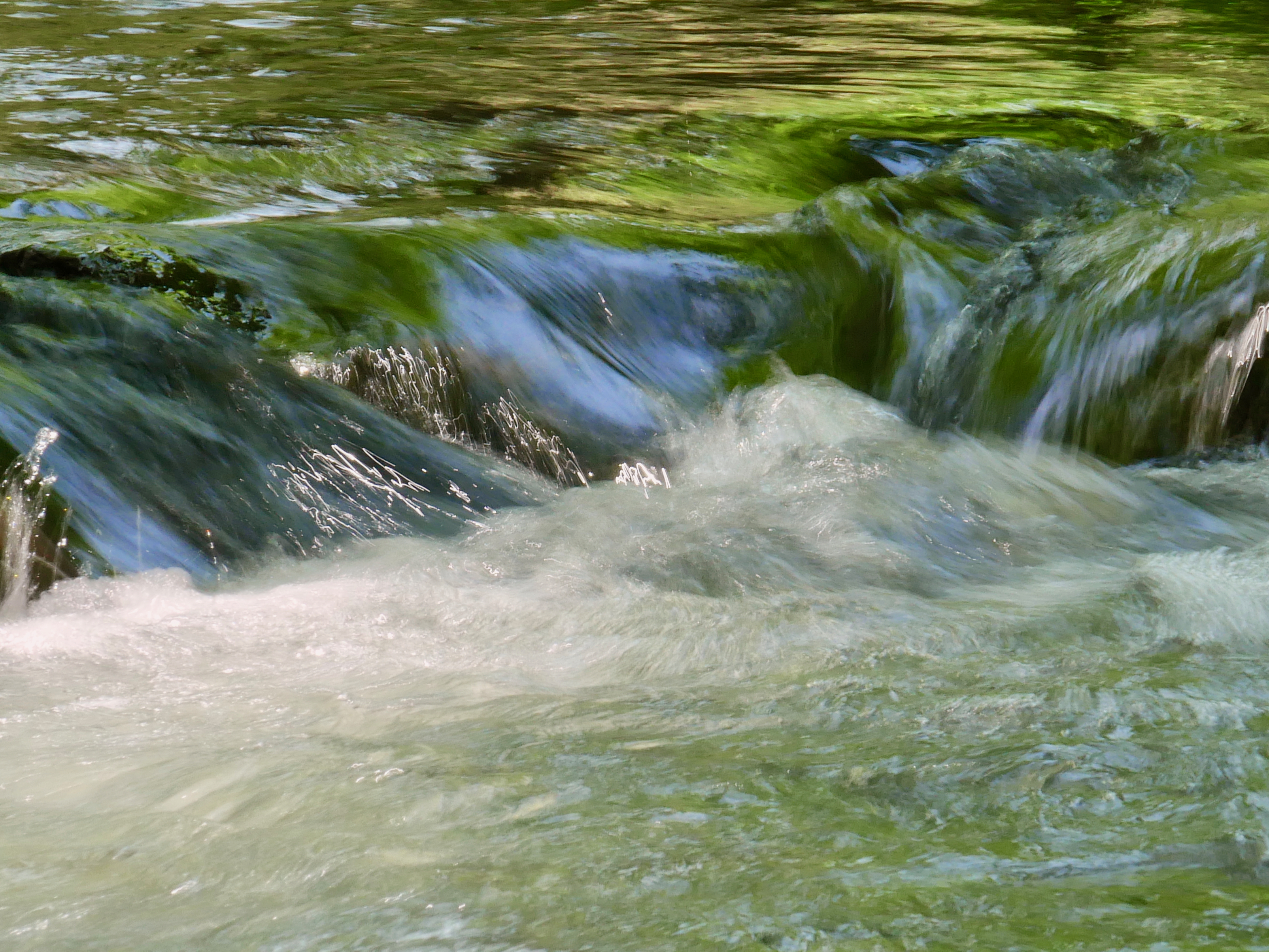 Spring, Green Again | Sun, Water and Stone