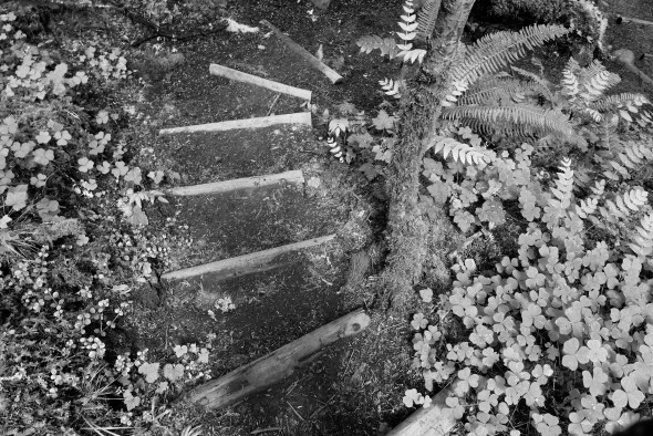 Spiralling steps on trail