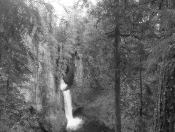 large waterfall in forest