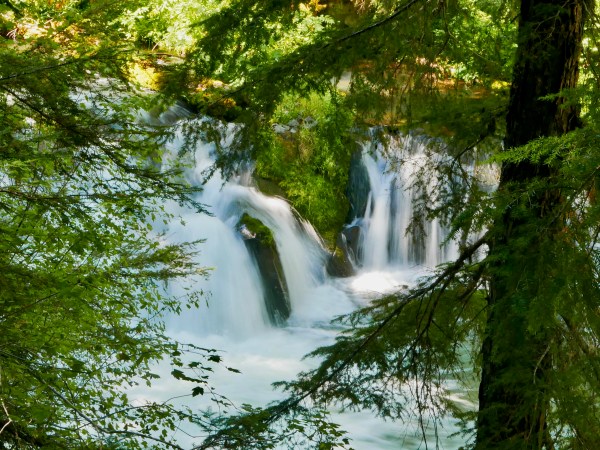 Waterfall and green foliage