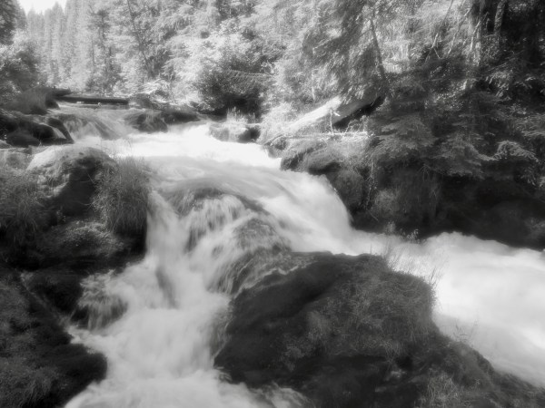 Whitewater river in forest