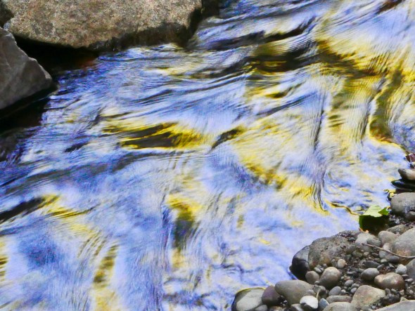 Reflections in small creek