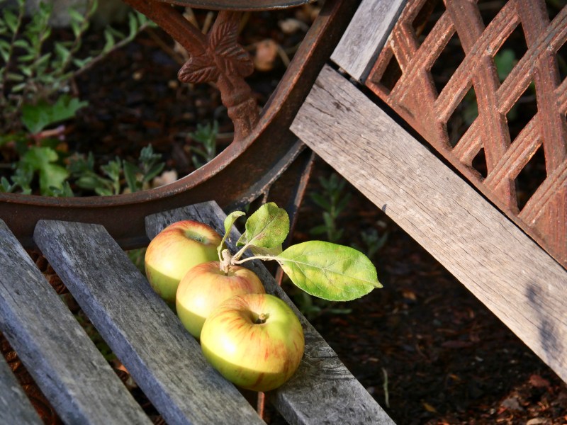 3 apples on a bench