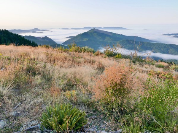 Mountains and Fog-Filled Valleys