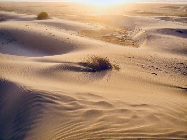 sand dunes and beach