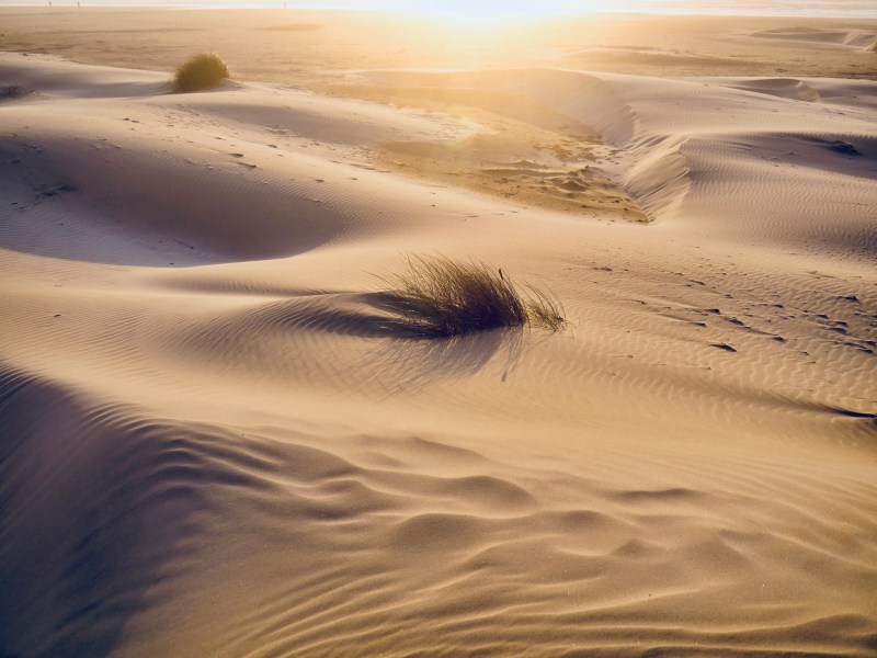 sand dunes and beach