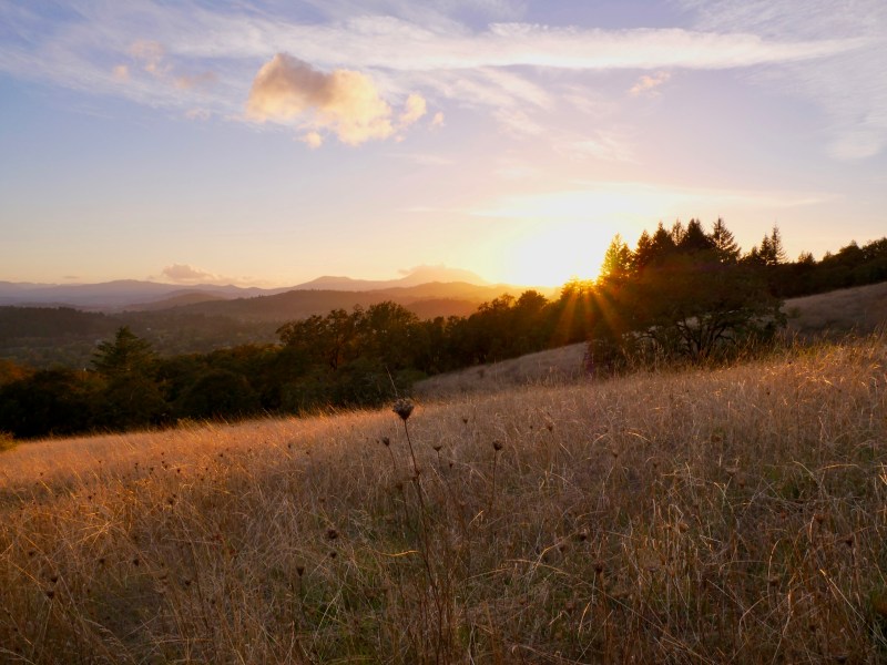Sun setting over meadow, trees and mountains