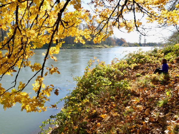 Fall foliage and person sitting by river