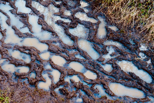 Footprints in Muddy Trail