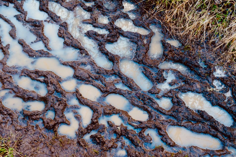 Footprints in Muddy Trail