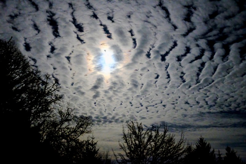 Moon, white clouds, bare trees