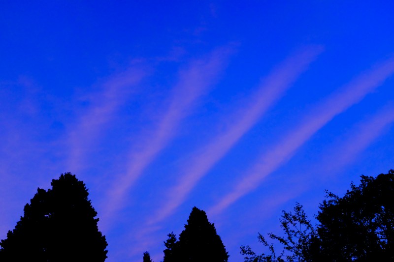 pink stripes in blue sky
