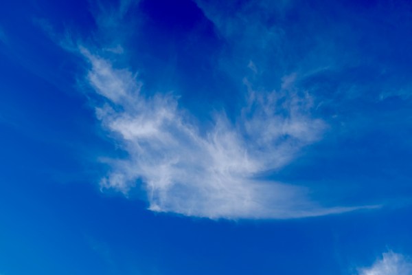 bird-shaped cloud