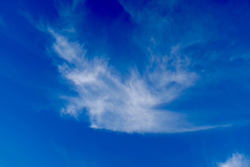 bird-shaped cloud