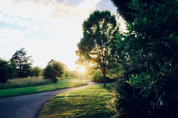 Path, grass, trees and setting sun