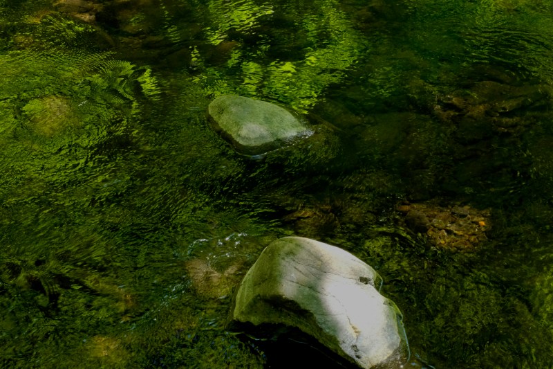 Green reflections and rocks in creek
